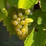 About Chenin Blanc White Wine