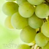 About White Muscat White Wine