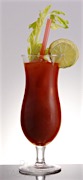 Spirits Glass Mixer Bloody Mary.jpg